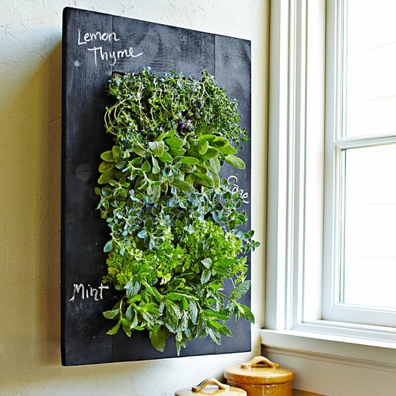 Chalkboard-Wall-Planter-2