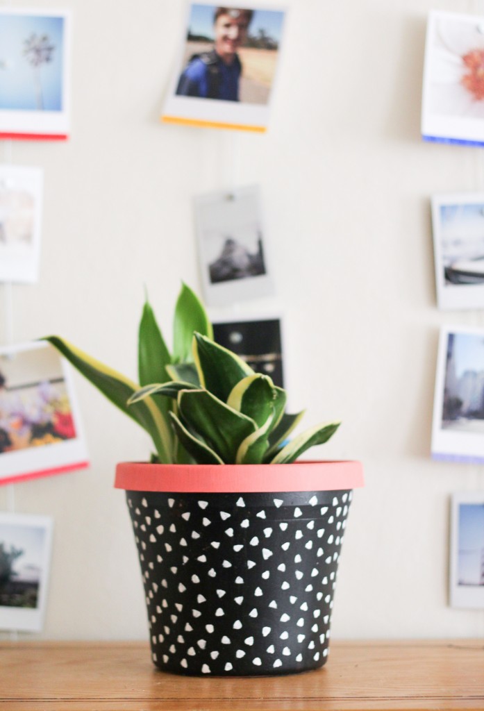 diy-painted-planter-6-697x1024