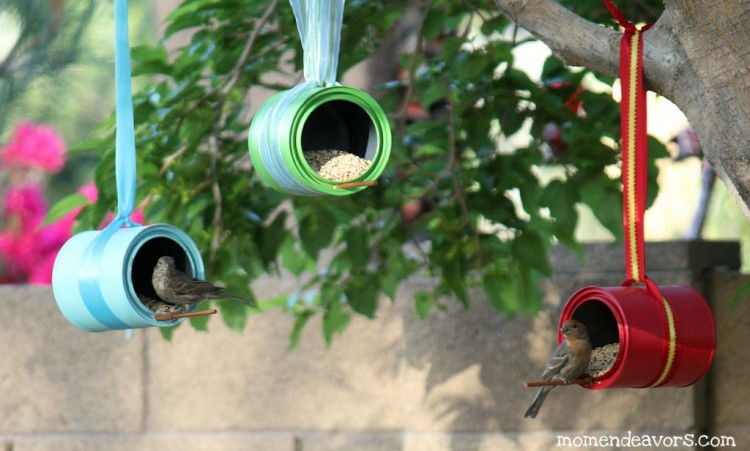 Birds-on-DIY-Bird-Feeders1-1024x616