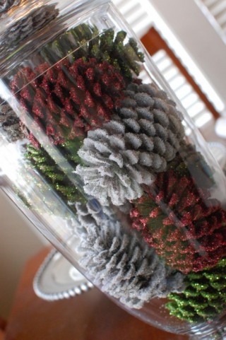 pine_cone-1-498x750