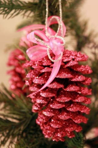 pine_cone-3