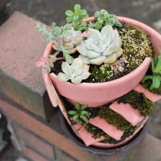 まるでおとぎ話みたい！植木鉢を素敵にリメイクDIYしてみた。