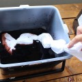 手ぬぐいを柿渋に浸す