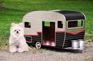 pet-trailers-4-550x365