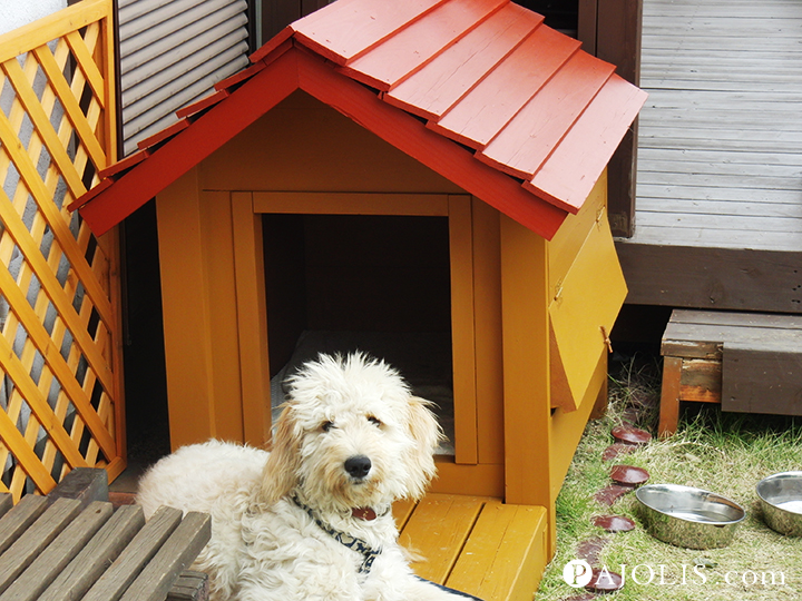 ワンちゃんも大喜び 色あせた犬小屋をまるで新品のようにdiyペイント