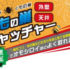 必見！軒下に出来たクモの巣を簡単にからめ取るスゴイ棒