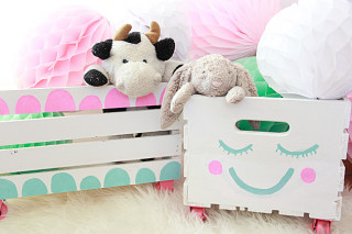 diytoycrates