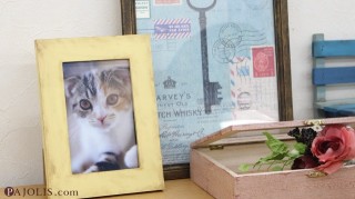 photoframe2-5